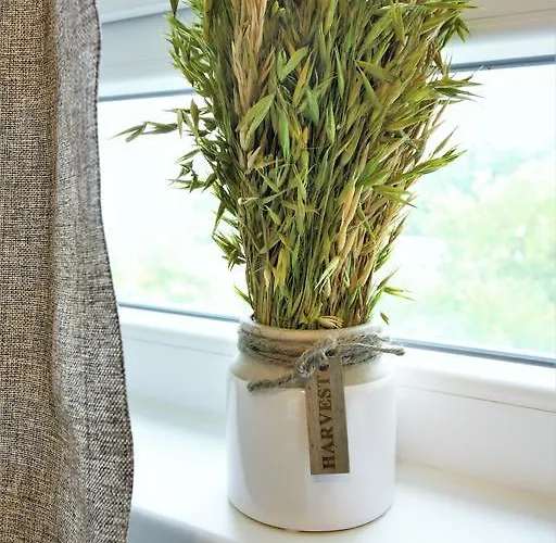 Working & Longstay Dd *