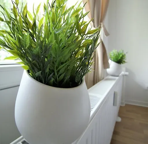 Working & Longstay Dd Düsseldorf