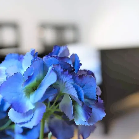 Working & Longstay Dd Apartment *