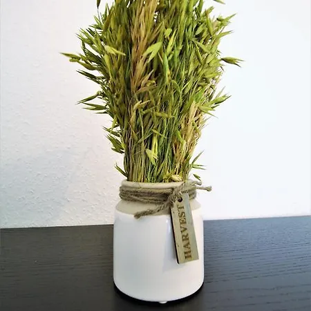 Working & Longstay Dd *