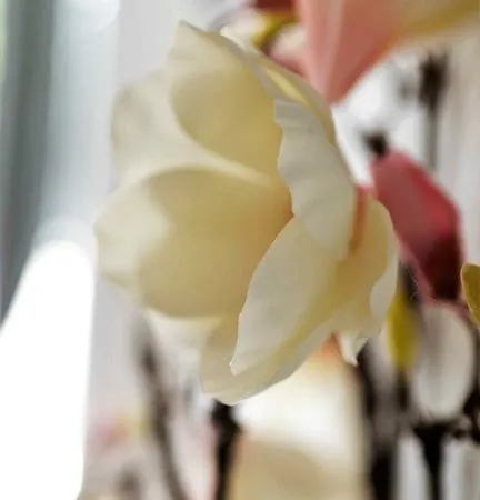 Working & Longstay Dd *