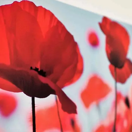 Working & Longstay Dd Düsseldorf