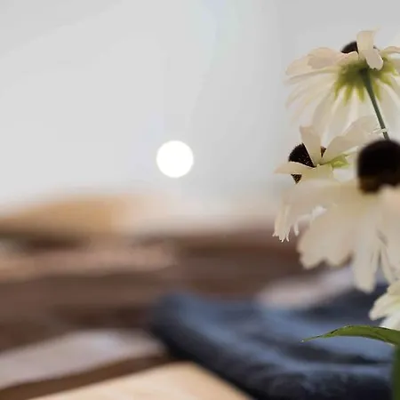 公寓 Working & Longstay Dd