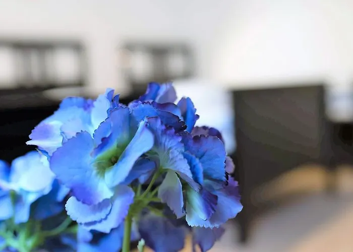 Working & Longstay Dd شقة *