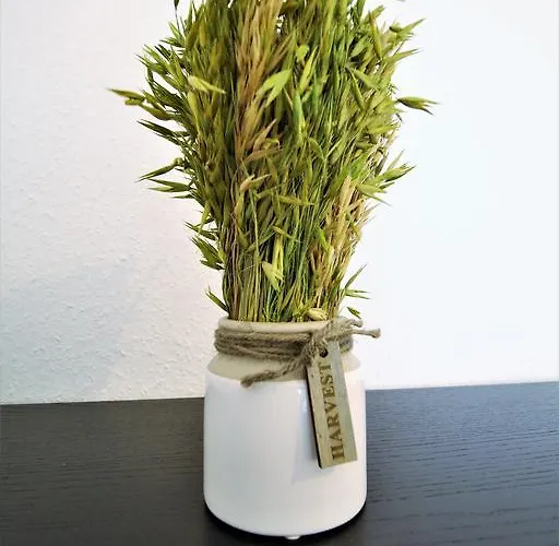 Working & Longstay Dd *