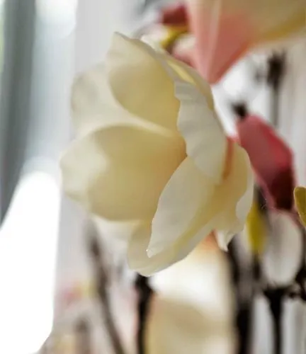 Working & Longstay Dd *