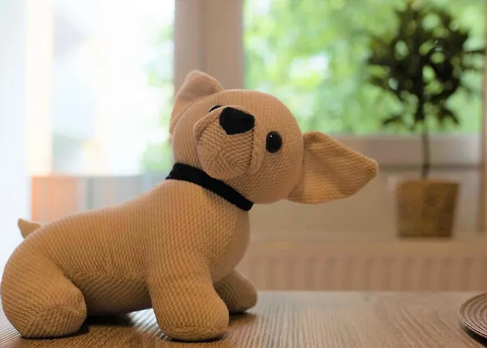 Lägenhet Working & Longstay Dd *