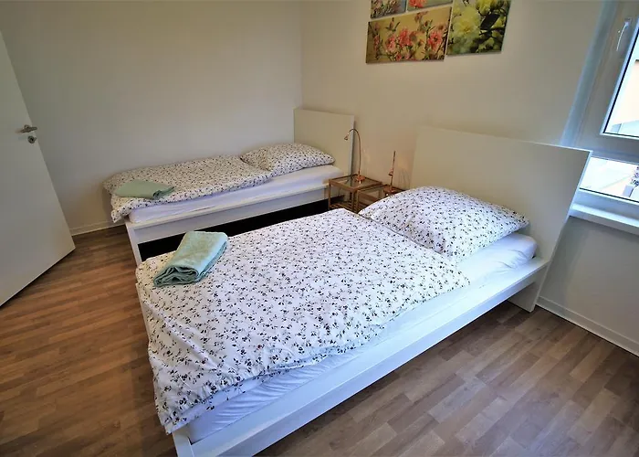 Working & Longstay Dd