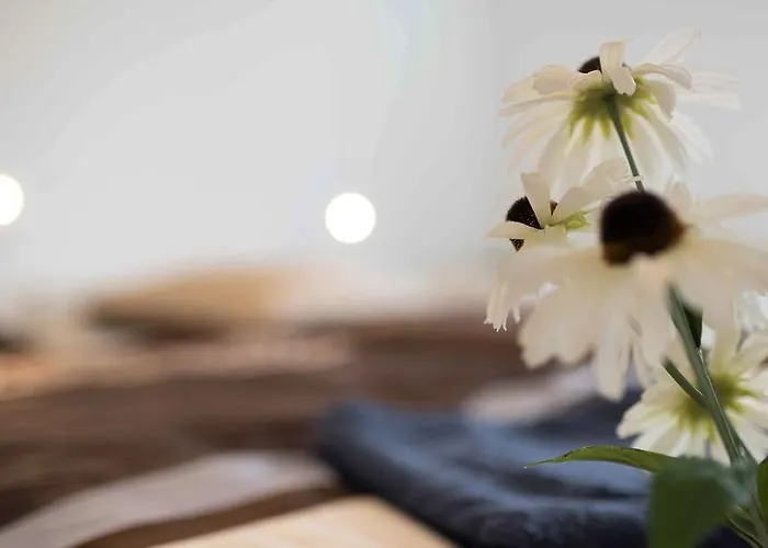 Lägenhet Working & Longstay Dd